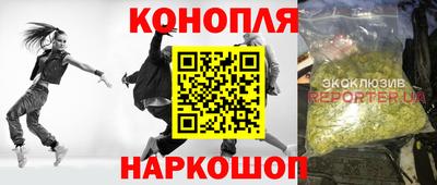прущие грибы Краснознаменск