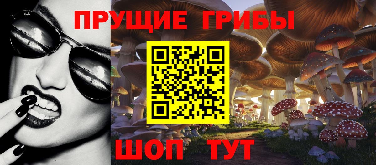 Псилоцибиновые грибы мицелий Коломна
